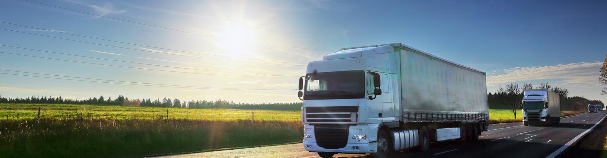 Rijdende vrachtwagen op de weg met blauwe lucht en zon op de achtergrond | Seacon Logistics 
