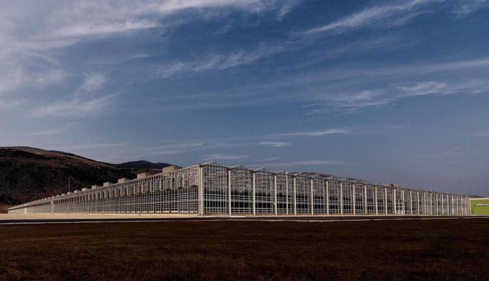 Van der Hoeven greenhouses | Seacon Logistics